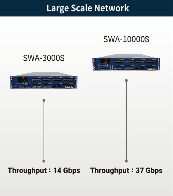 large scale network
